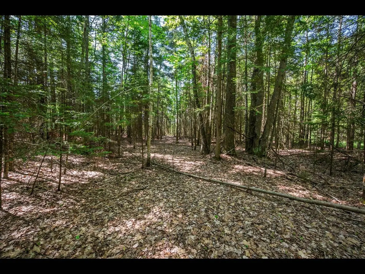 Lot 1 Memory Ln, Eagle River, WI 54521 - Image #1