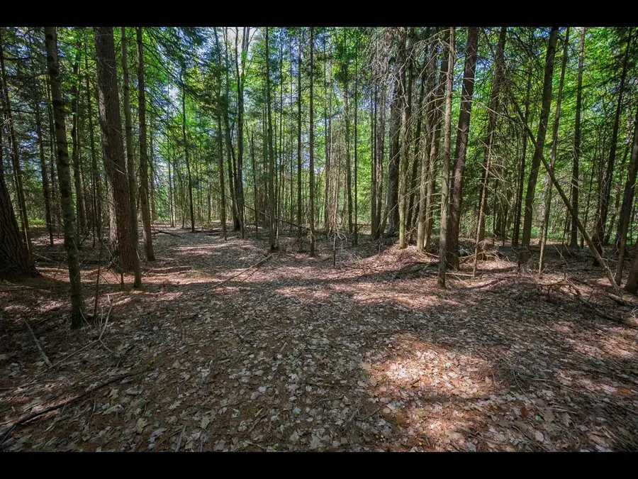 Lot 1 Memory Ln, Eagle River, WI 54521 - Image #2