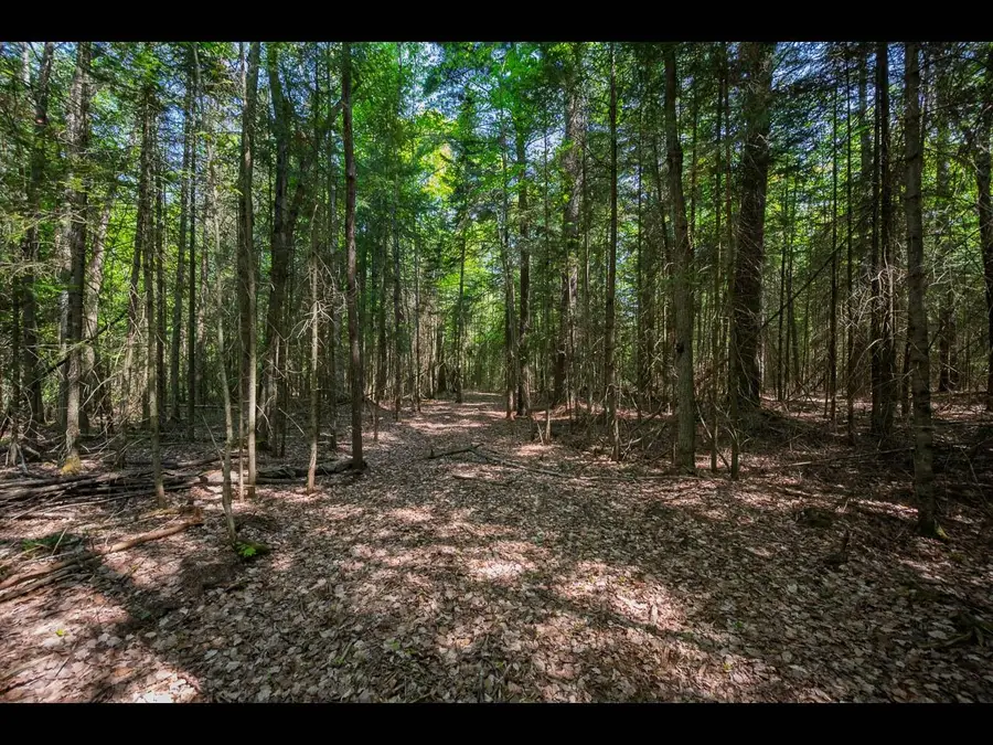 Lot 1 Memory Ln, Eagle River, WI 54521 - Image #3