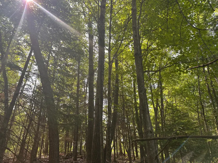 1640 Balsam St #26, Rhinelander, WI 54501 - Image #3