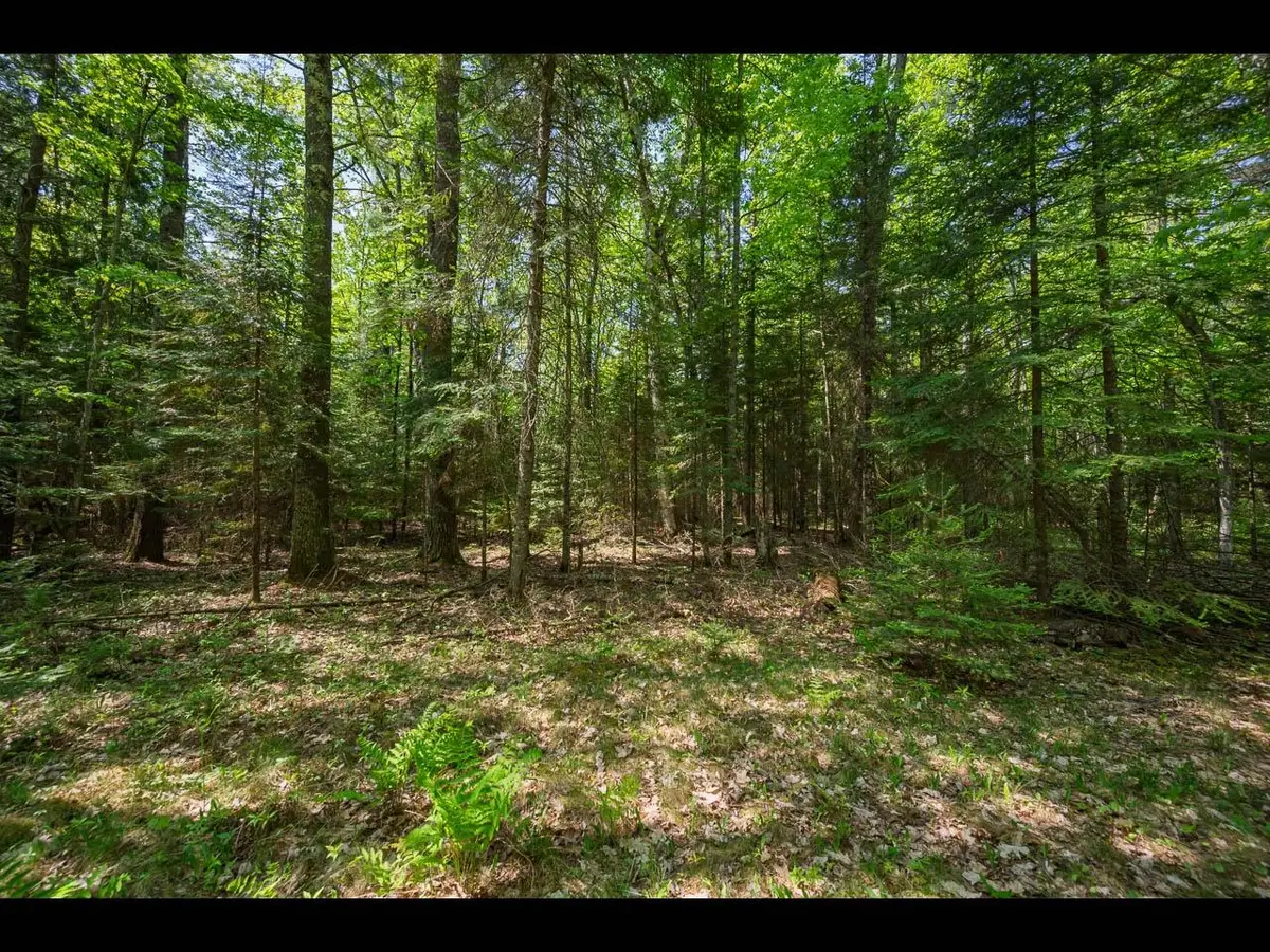 Lot 4 Kinderhook Tr, Eagle River, WI 54521 - Image #1