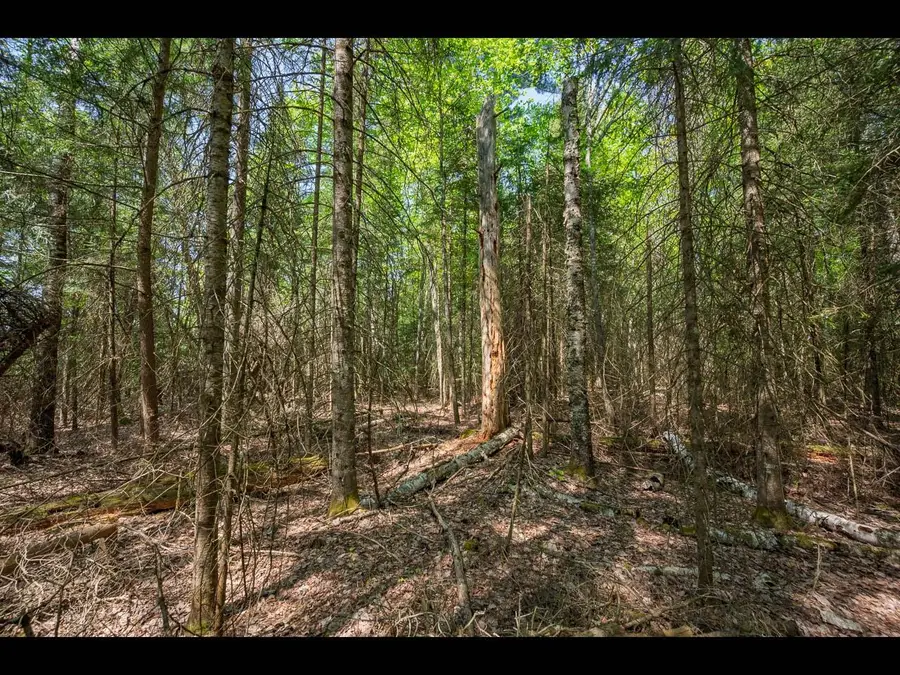 Lot 4 Kinderhook Tr, Eagle River, WI 54521 - Image #2