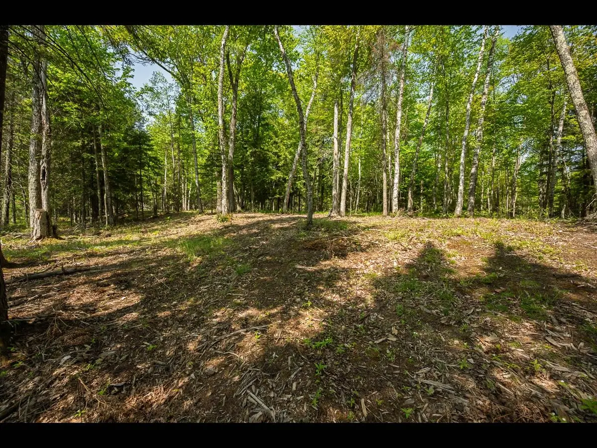 Lot 11 Kinderhook Tr, Eagle River, WI 54521 - Image #1