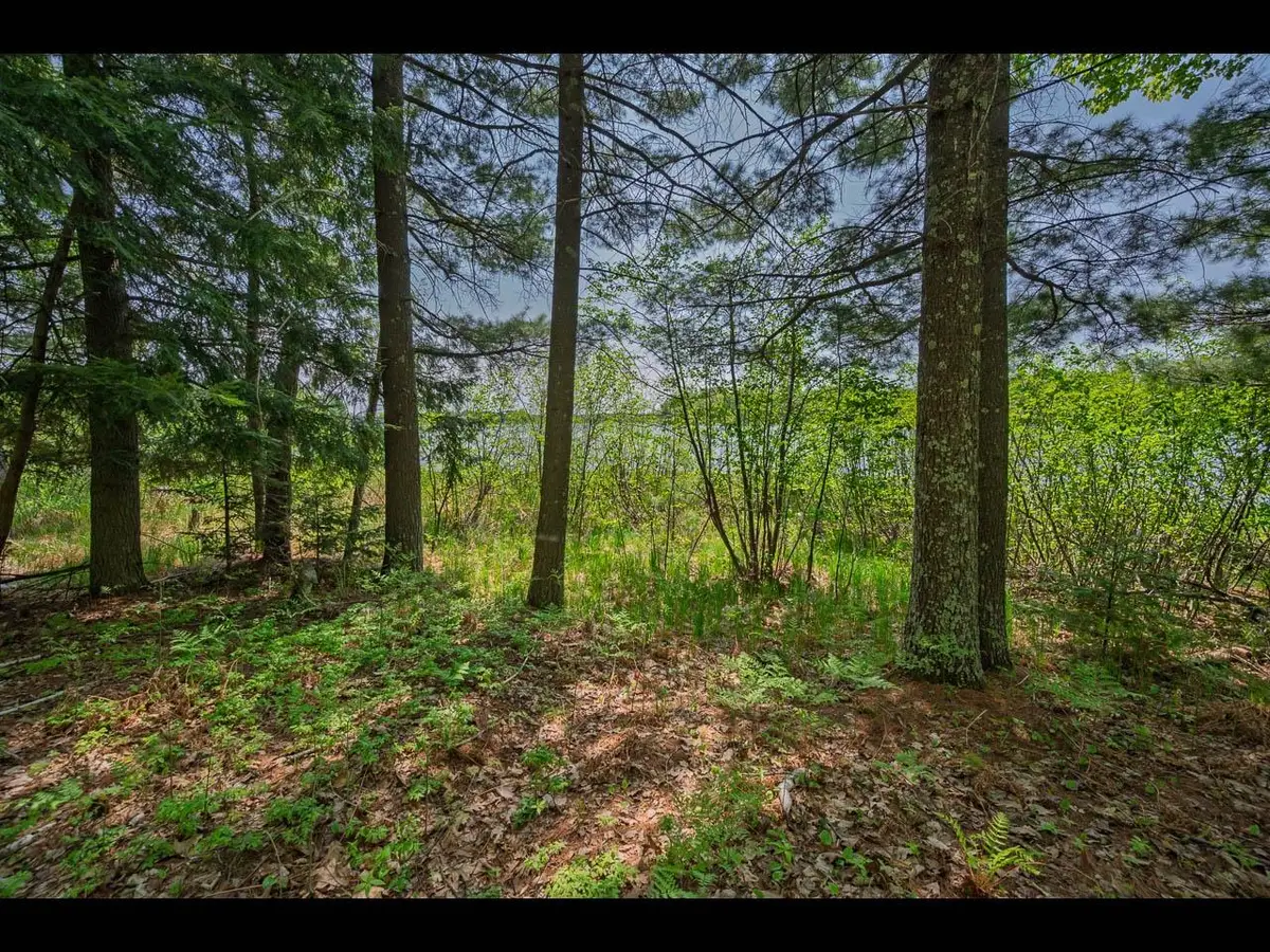 Lot 16 Memory Ln, Eagle River, WI 54521 - Image #1