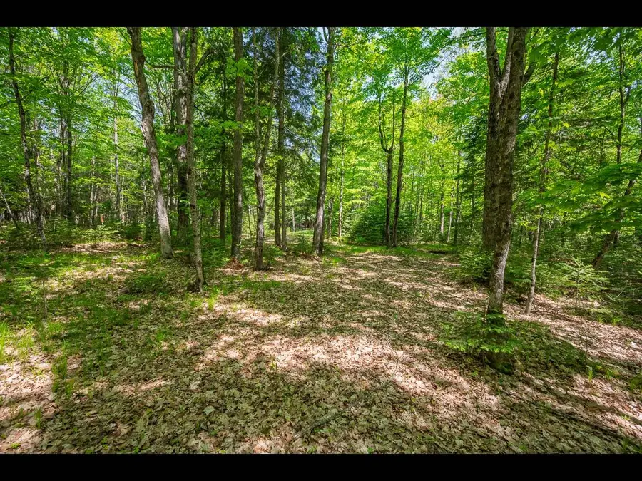 Lot 23 Bonita Pt, Eagle River, WI 54521 - Image #2