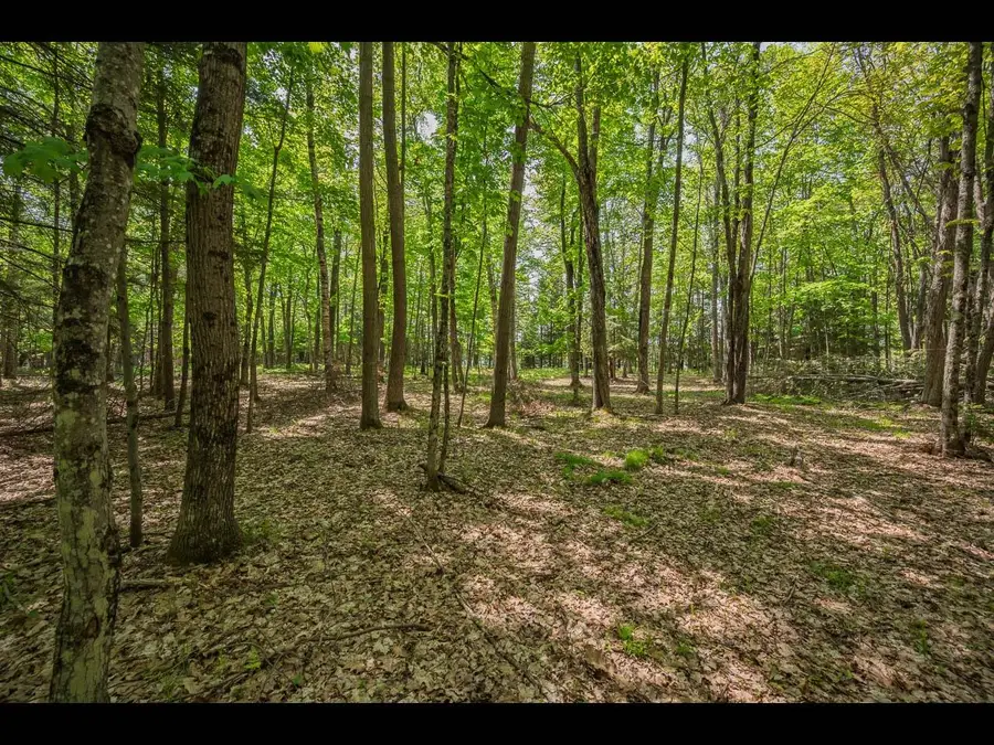 Lot 23 Bonita Pt, Eagle River, WI 54521 - Image #3