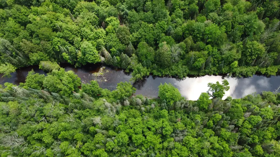 76557 Deringer Rd, Glidden, WI 54527 - Image #3