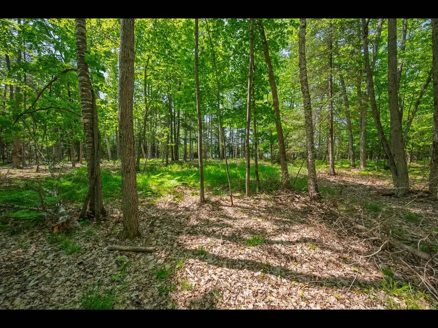 Lot 24 Bonita Pt, Eagle River, WI 54521 - Image #3
