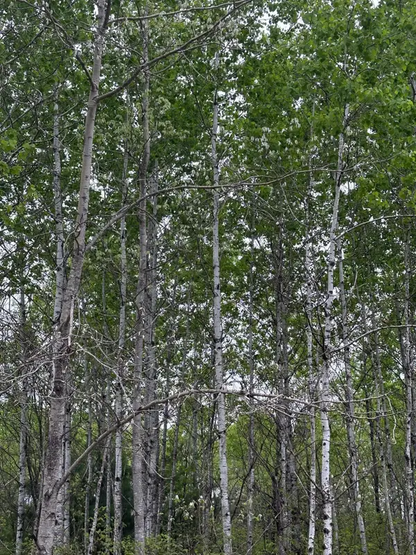 ON Kelly Fire Ln #Lot 1, Tomahawk, WI 54487