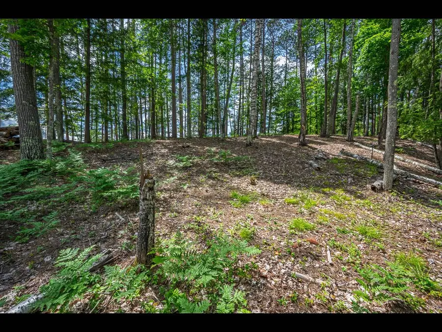 Lot 129 Clearwater Lake Tr, Eagle River, WI 54521 - Image #2