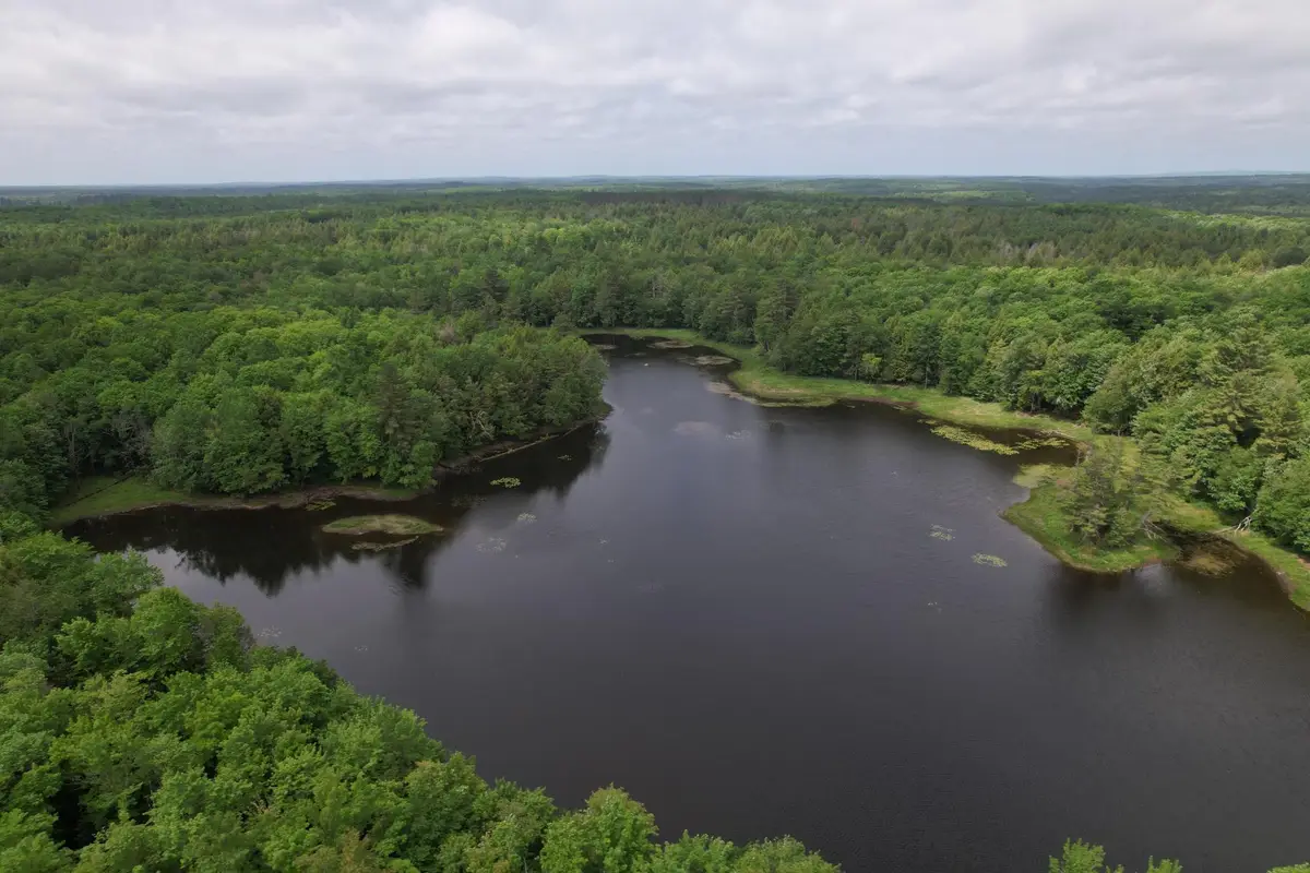 ON Camp K Rd #76.95 ac, Glidden, WI 54527 - Image #1