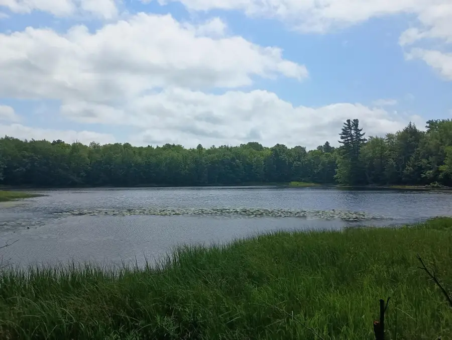 ON Camp K Rd #76.95 ac, Glidden, WI 54527 - Image #3