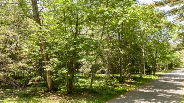 ON La Fave Rd #LOT ON, Manitowish Waters, WI 54545