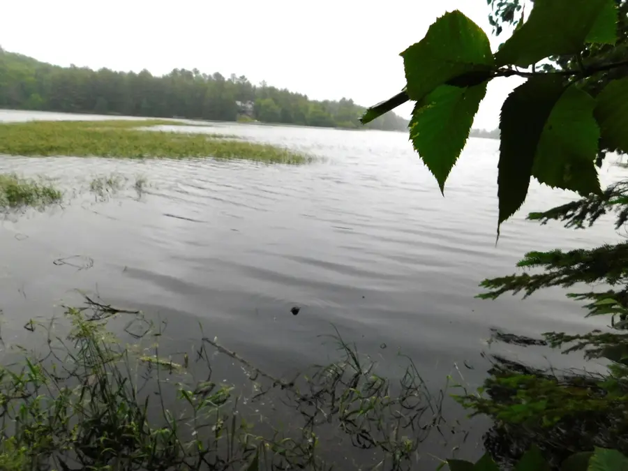 N9009 Deer Tr, Tomahawk, WI 54487 - Image #2