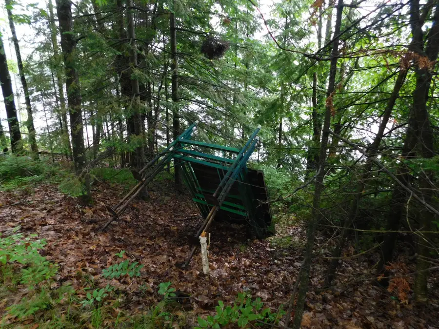 N9009 Deer Tr, Tomahawk, WI 54487 - Image #3