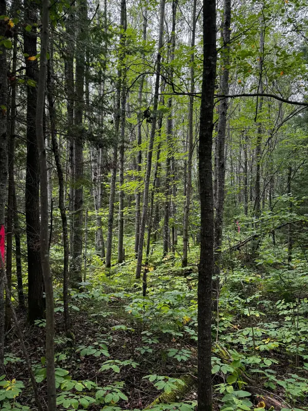 Pinelake Pine Lake Rd #2, Minocqua, WI 54548