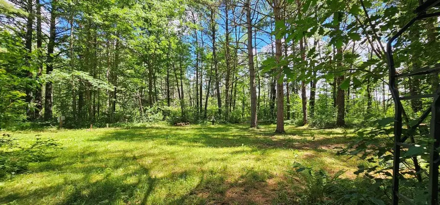14223 Powell Rd, Manitowish Waters, WI 54545 - Image #2
