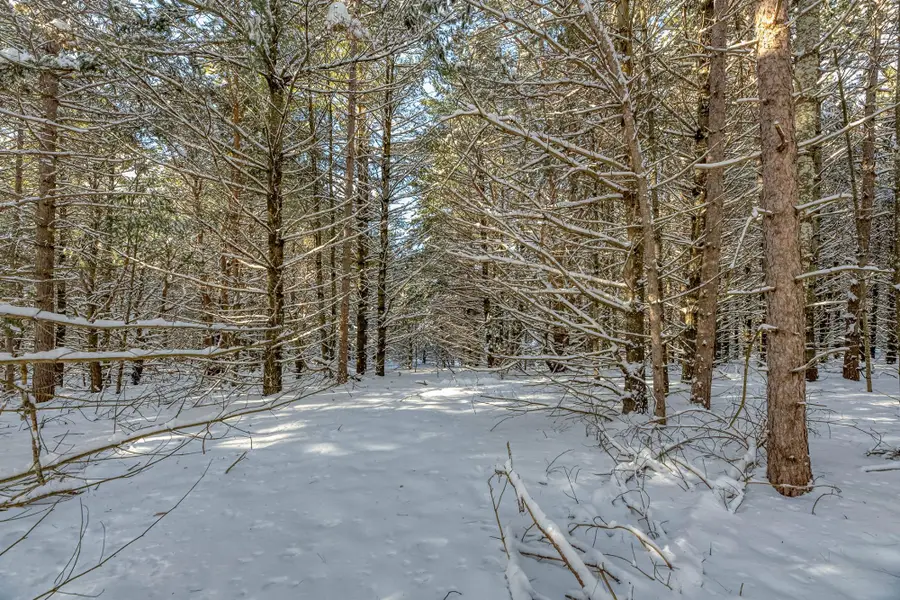 Off Hwy 45 #3, Three Lakes, WI 54562 - Image #3