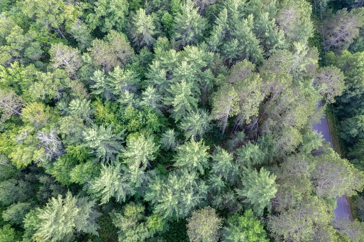 Lot 4 Dads Lake Rd, Eagle River, WI 54521 - #1