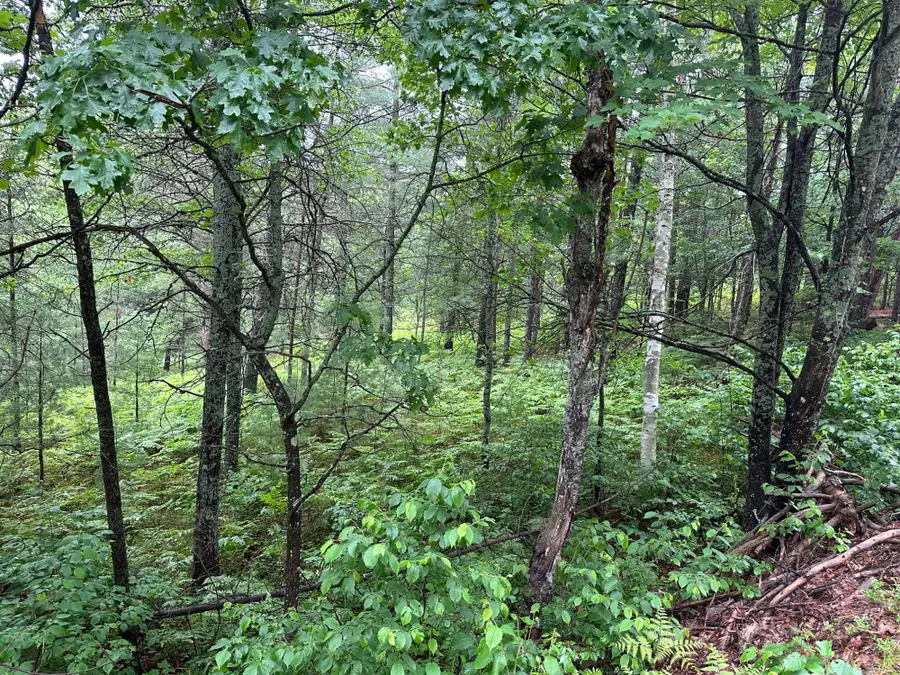 Lot 4 Dads Lake Rd, Eagle River, WI 54521 - #2