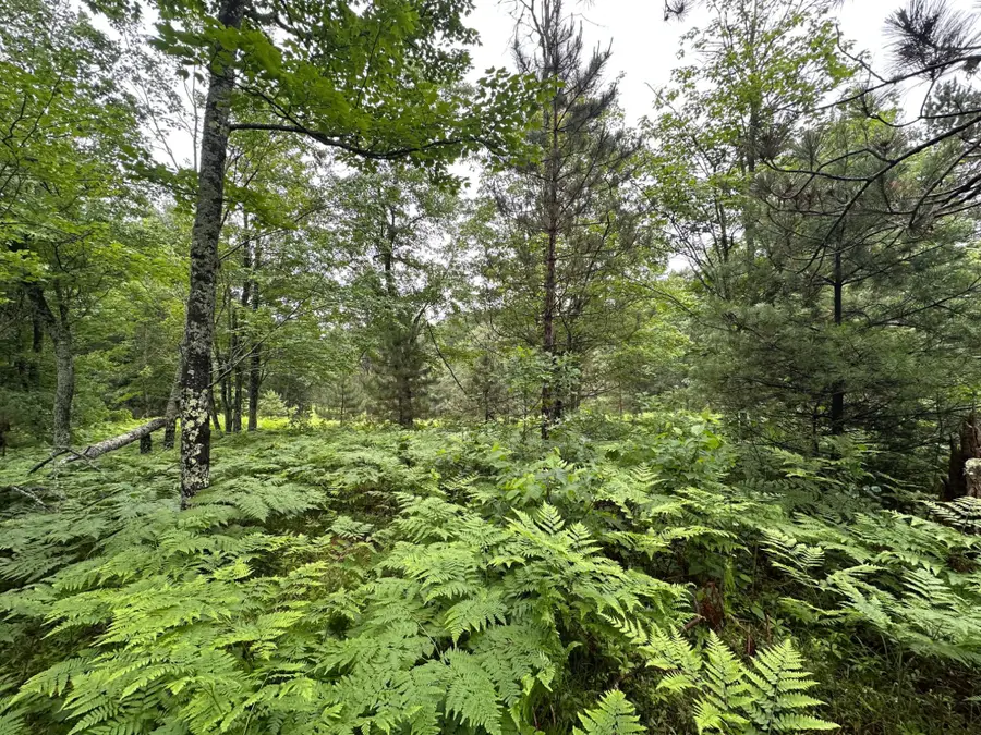 Lot 5 Dads Lake Rd, Eagle River, WI 54521 - #2