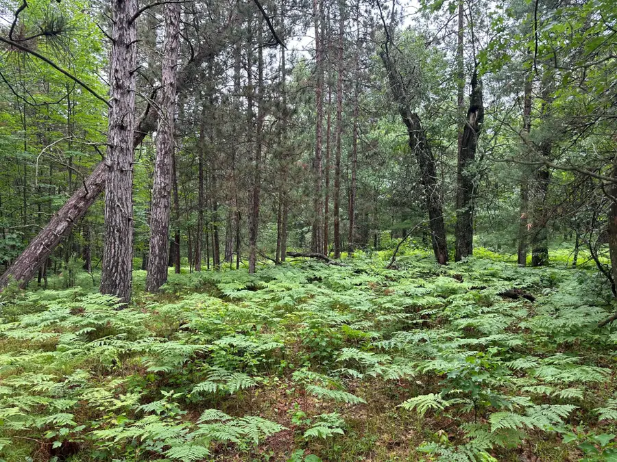 Lot 14 Dads Lake Rd, Eagle River, WI 54521 - Image #3
