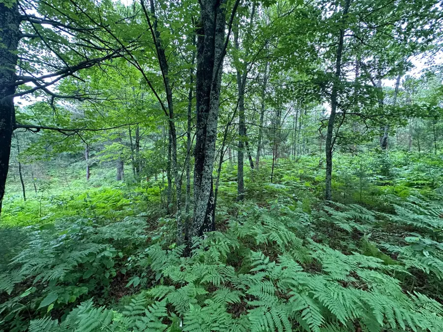 Lot 16 Dads Lake Rd, Eagle River, WI 54521 - #2