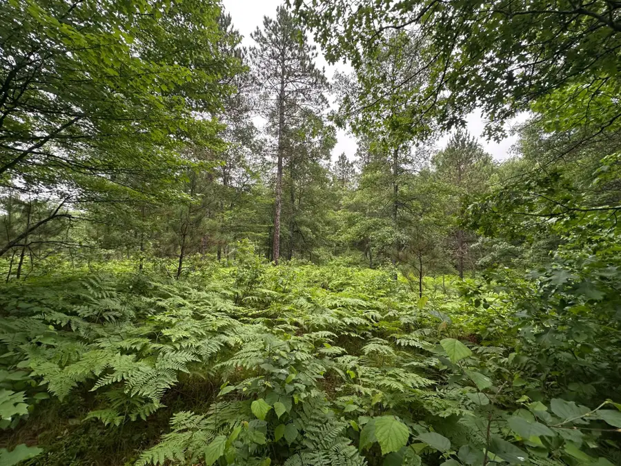 Lot 17 Dads Lake Rd, Eagle River, WI 54521 - #2