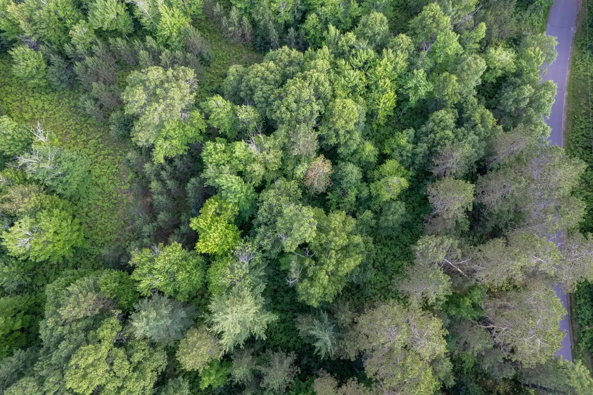 Lot 18 Dads Lake Rd, Eagle River, WI 54521 - #1