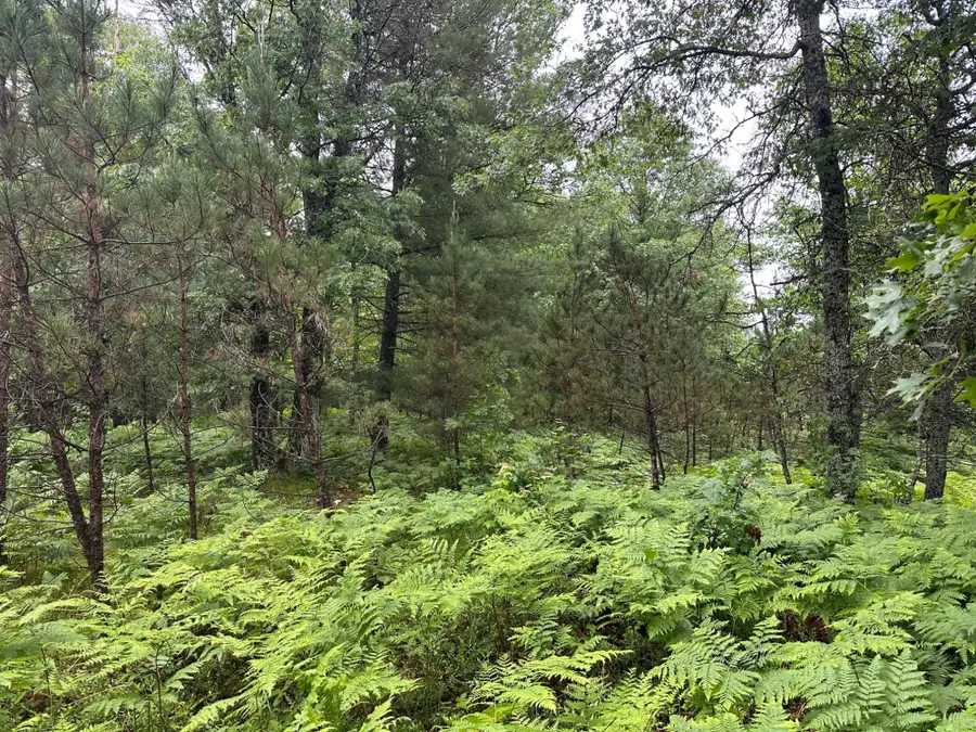 Lot 18 Dads Lake Rd, Eagle River, WI 54521 - #3