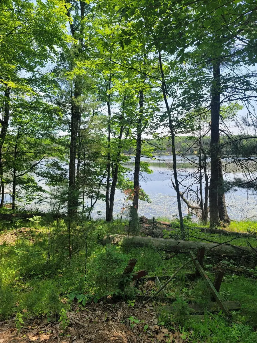 6069 Windpudding Dr N, Hazelhurst, WI 54531 - Image #3