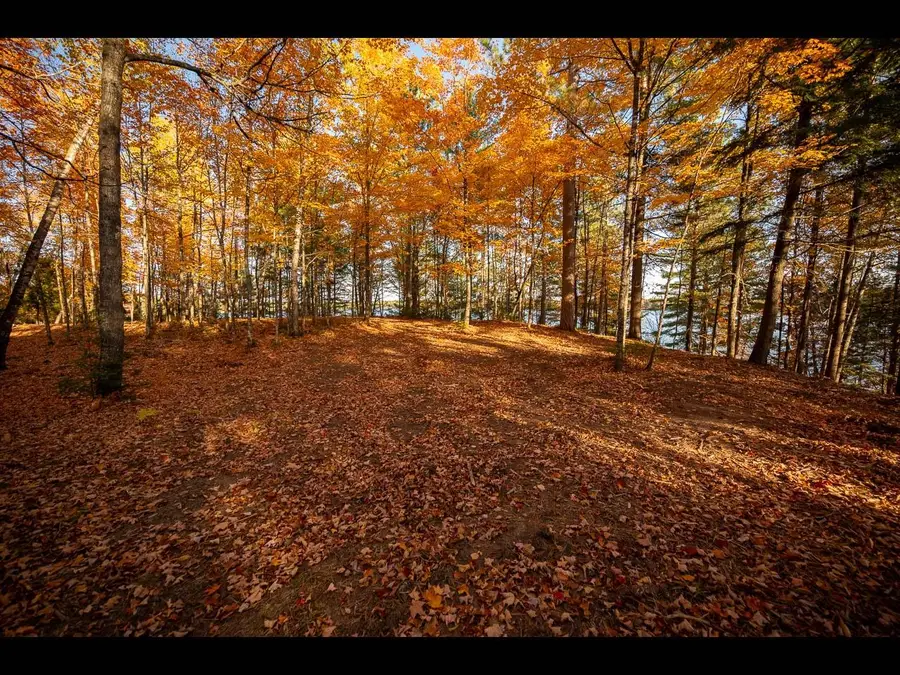 Lot 134 Clearwater Lake Tr, Eagle River, WI 54521 - Image #3