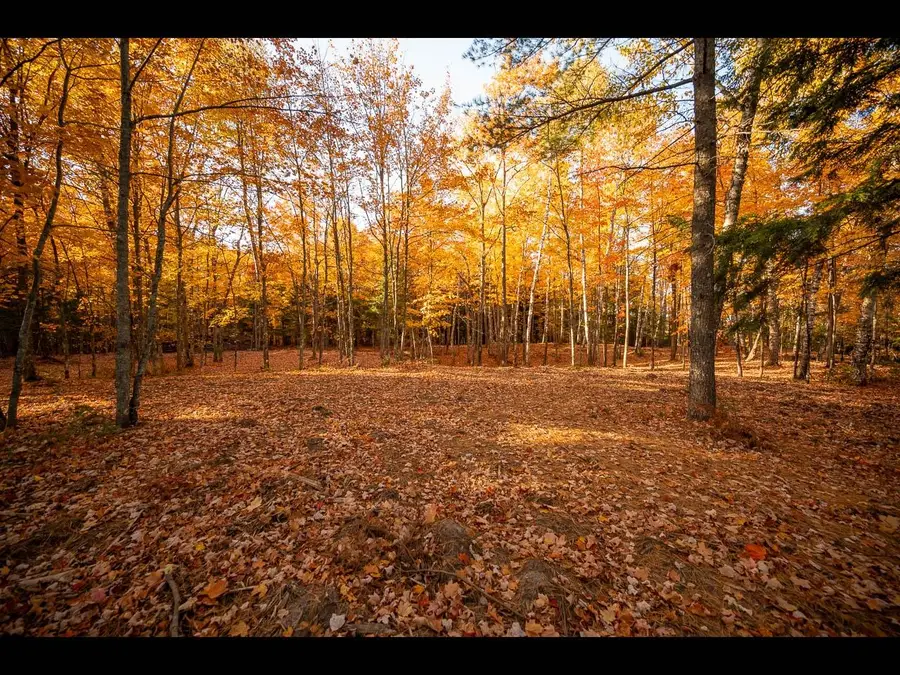 Lot 135 Clearwater Lake Tr, Eagle River, WI 54521 - Image #2