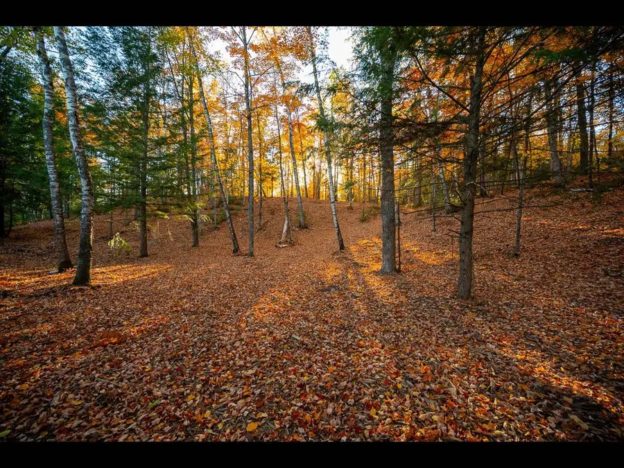 Lot 137 Clearwater Lake Tr, Eagle River, WI 54521 - Image #2