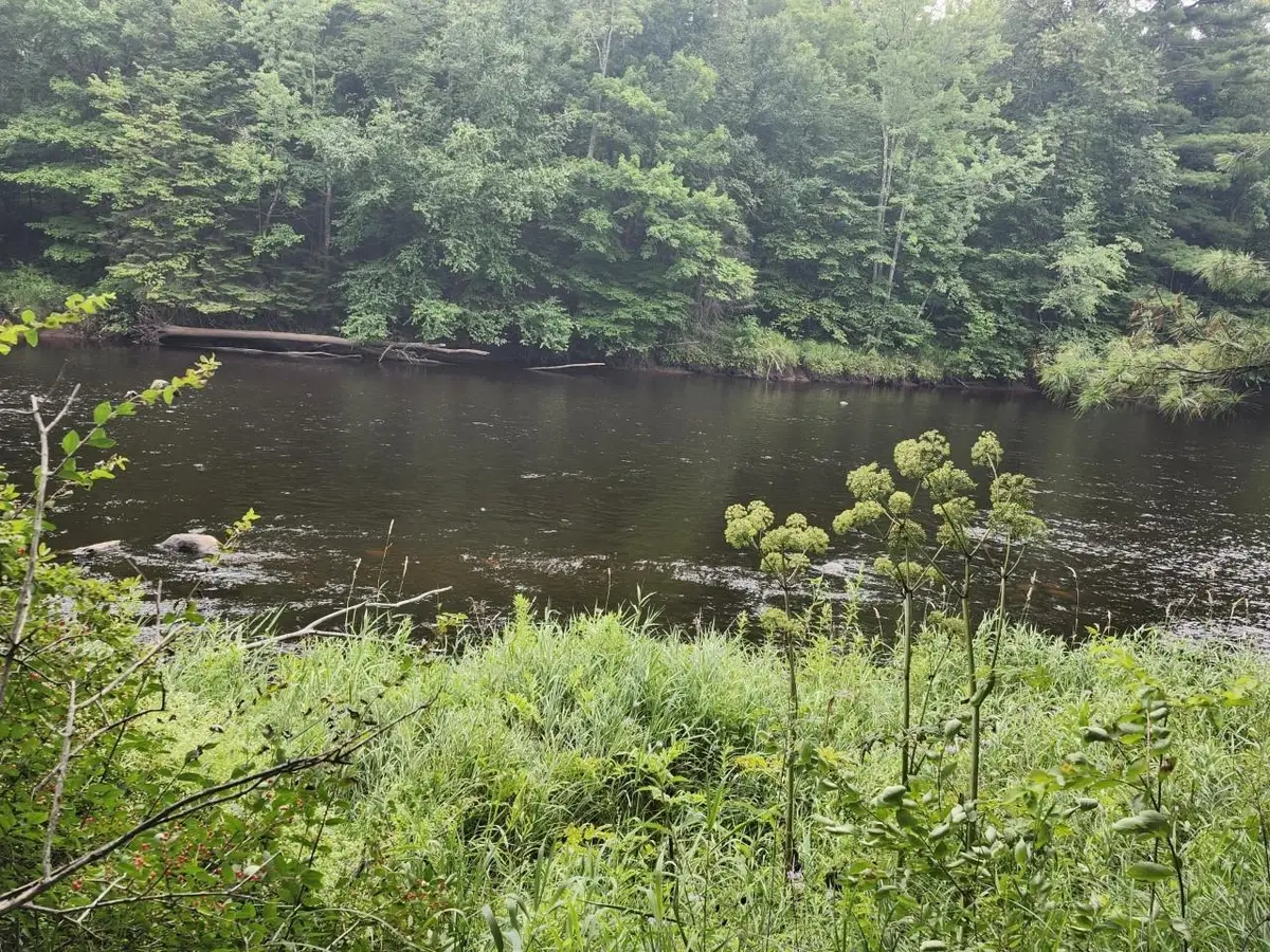 ON Lukes Heights Rd #Lot 13, Ogema, WI 54459 - #1