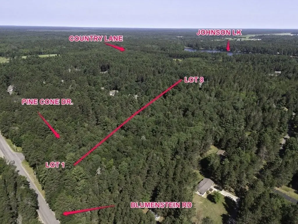 Lot 4 Pine Cone Dr, Woodruff, WI 54568 - Image #1