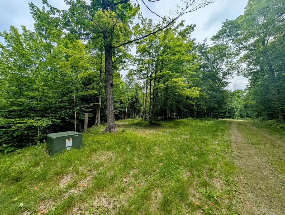 Lots 5&6 Grace Ln, Eagle River, WI 54521 - Image #1