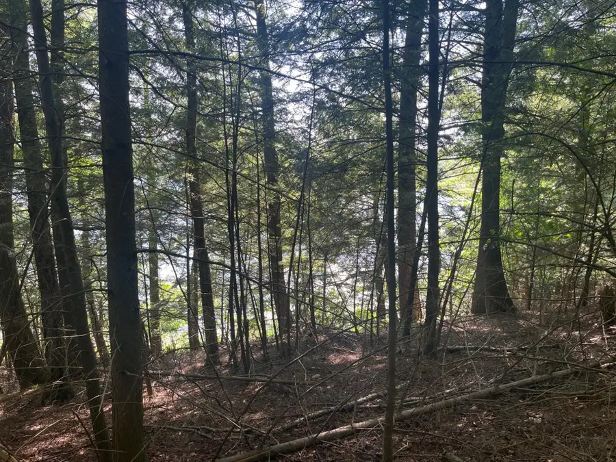 17197 Patti Ln, Lakewood, WI 54138 - Image #3