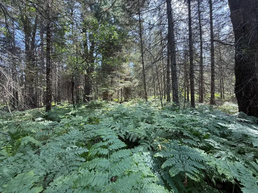 3280 Murmuring Pines Tr, Pelican, WI 54463 - Image #2