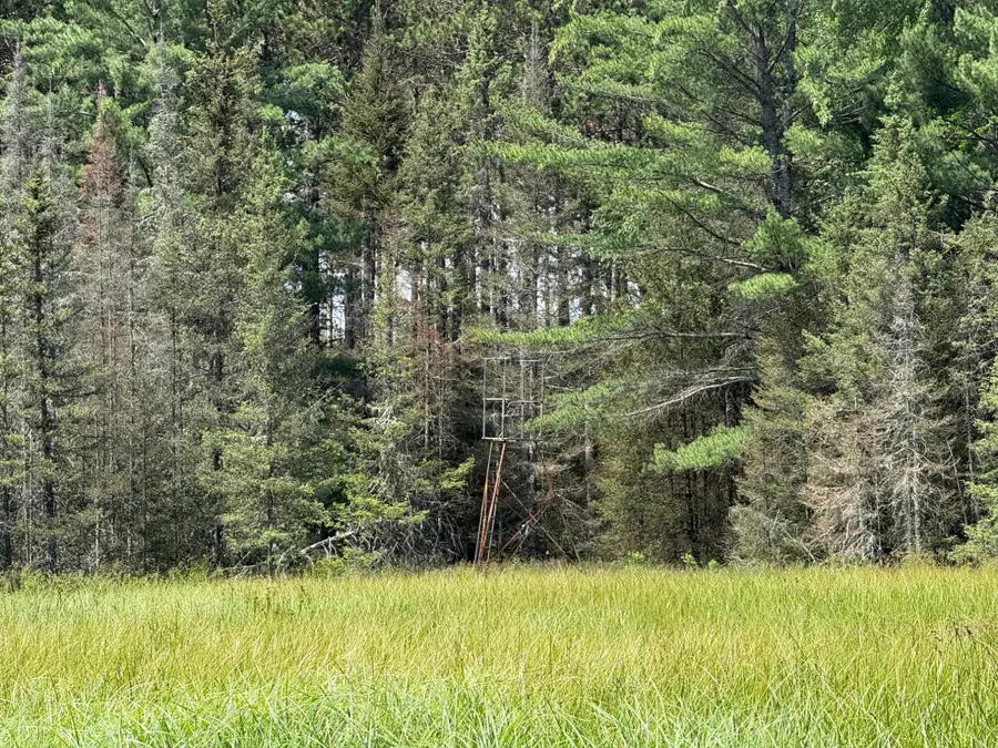 3280 Murmuring Pines Tr, Pelican, WI 54463 - Image #3