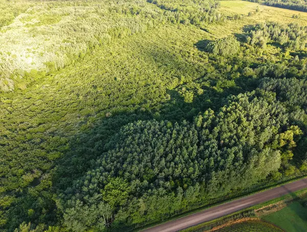 00 Oak Dr, Curtiss, WI 54422