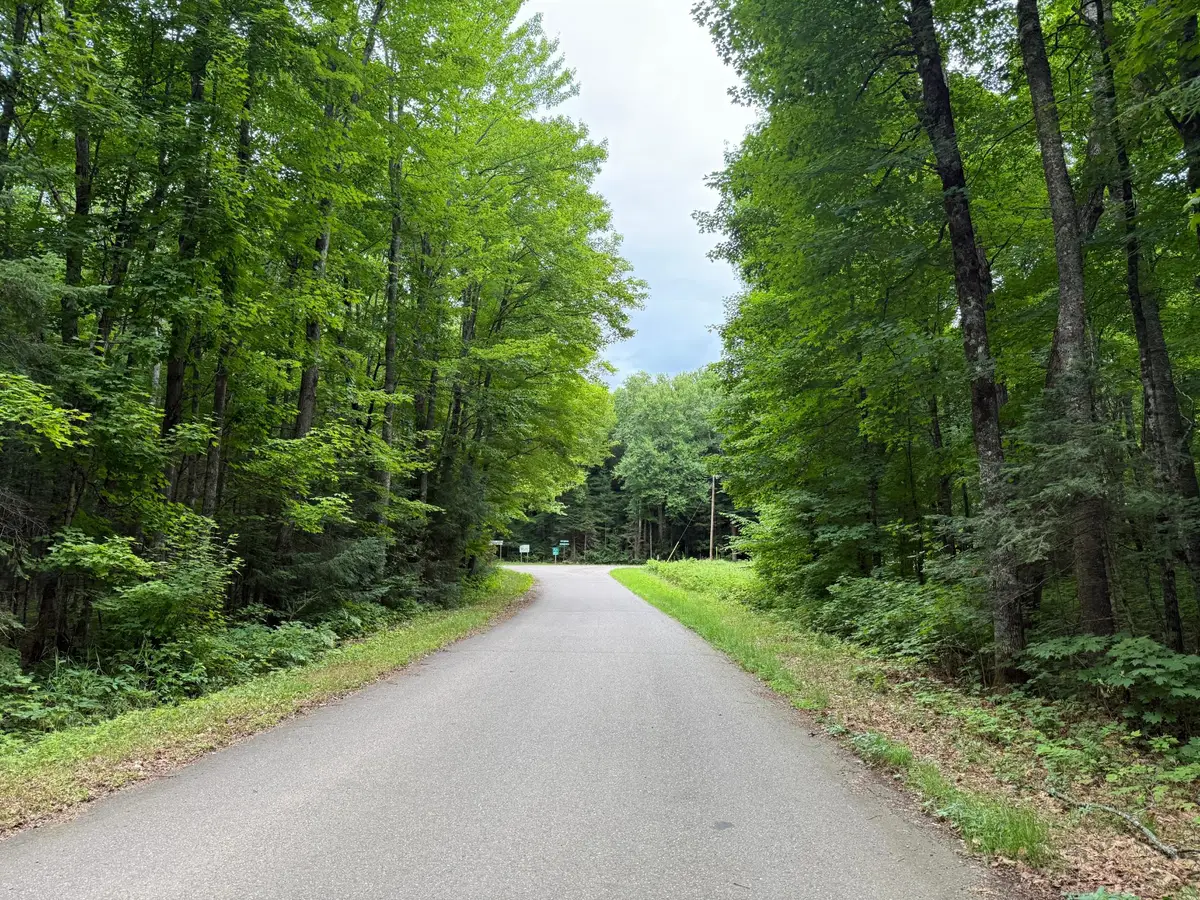 25 A On Bearskull Rd, Park Falls, WI 54552 - Image #1