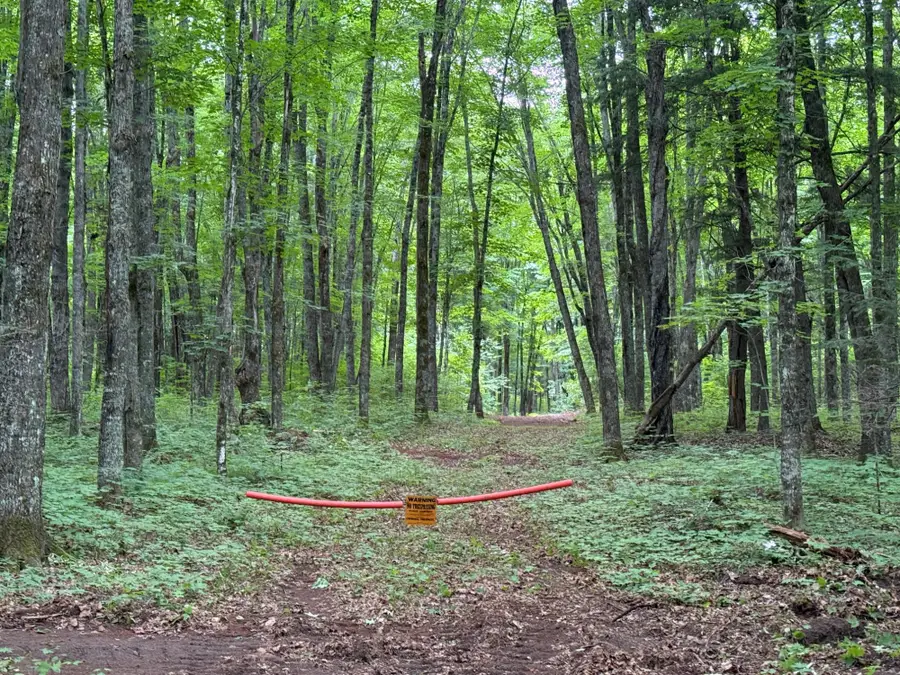 25 A On Bearskull Rd, Park Falls, WI 54552 - Image #3