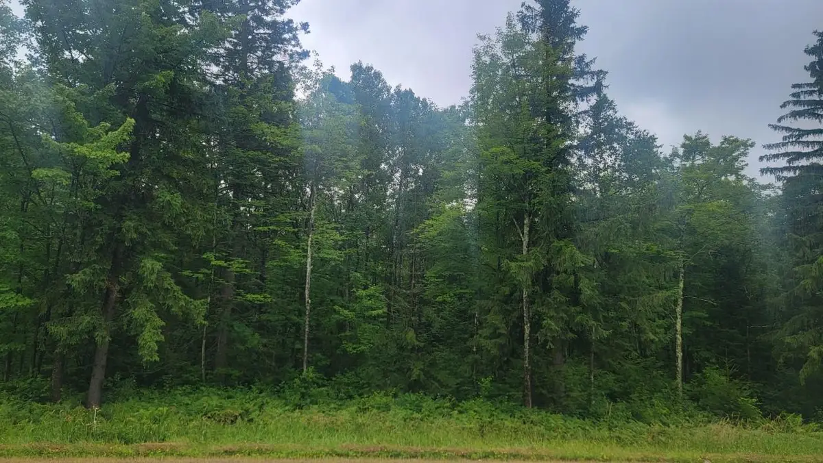 N4651 Pennington Rd, Prentice, WI 54556 - #1
