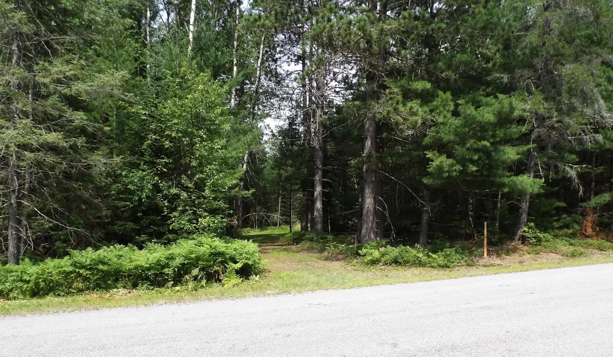32+Ac ON Pine Lake Rd, Rhinelander, WI 54501 - #1