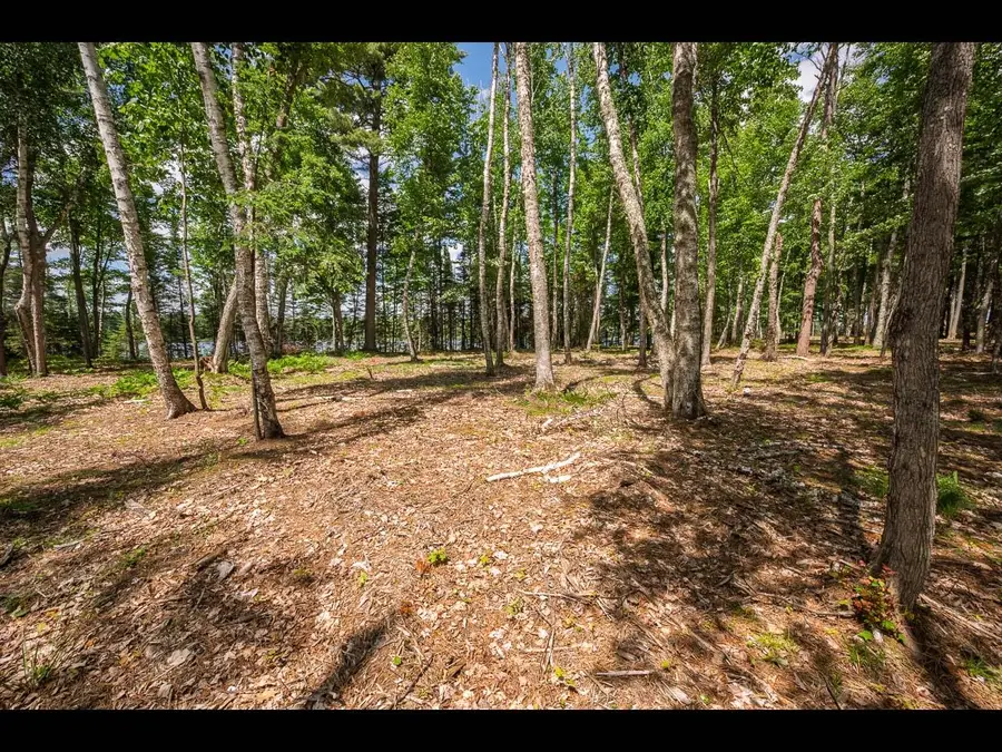 Lot 160 Clearwater Lake Tr, Eagle River, WI 54521 - Image #3