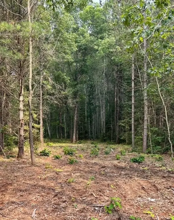 2.5 Acre Cth Y, Tomahawk, WI 54487