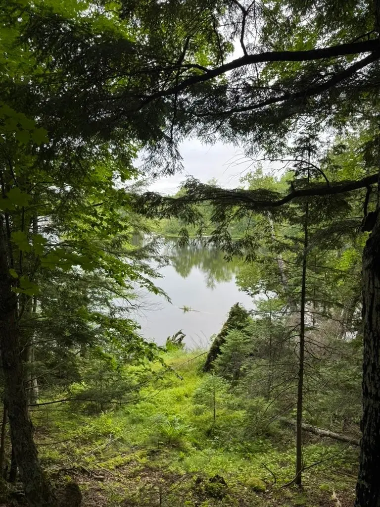 Lot 2 Benson Rd, Presque Isle, WI 54557 - #3