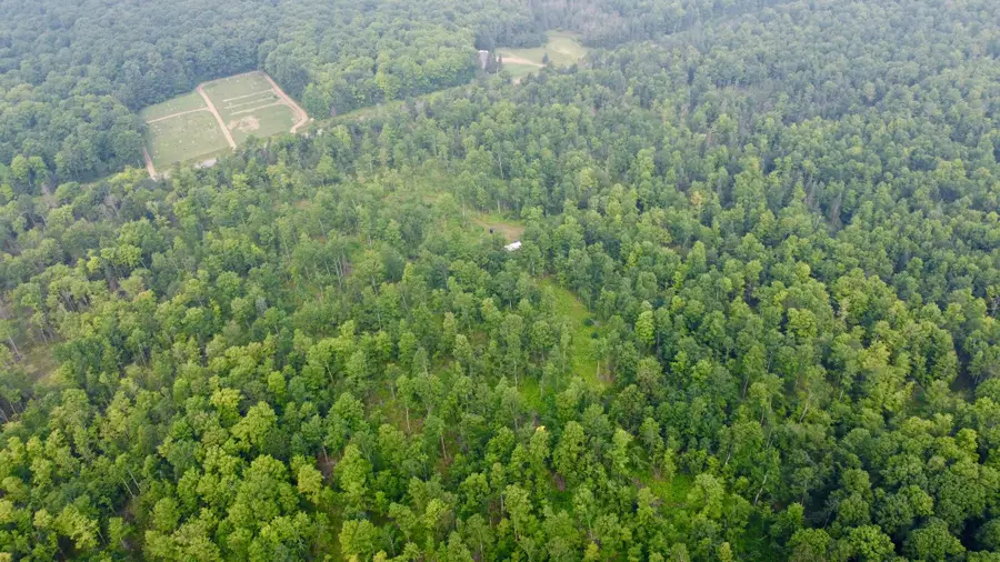 40 Acres Cth H, Gleason, WI 54435 - Image #2