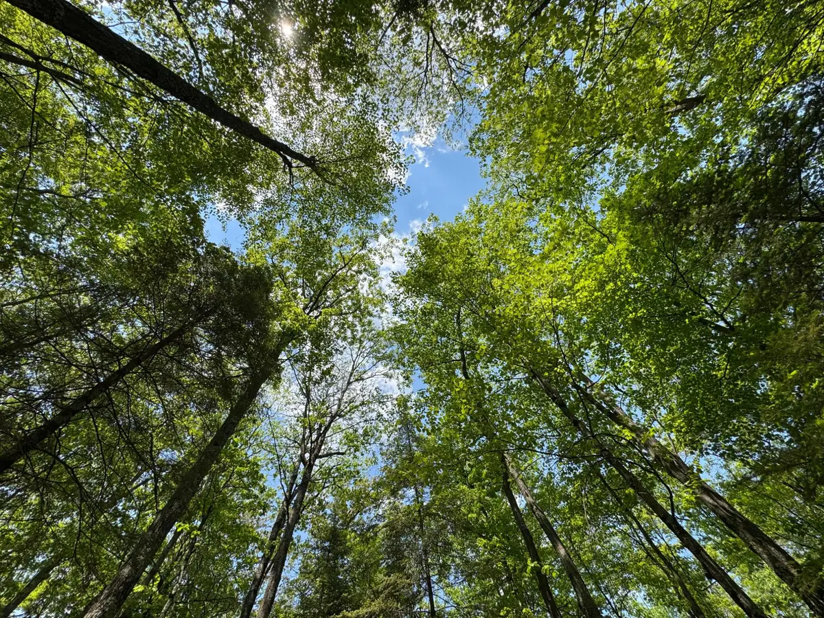 309/310 Deerwood Rd, Minocqua, WI 54548 - Image #1